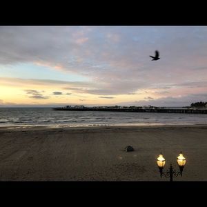 Meet your Posher, Mishell